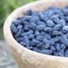 Blue Honeyberry