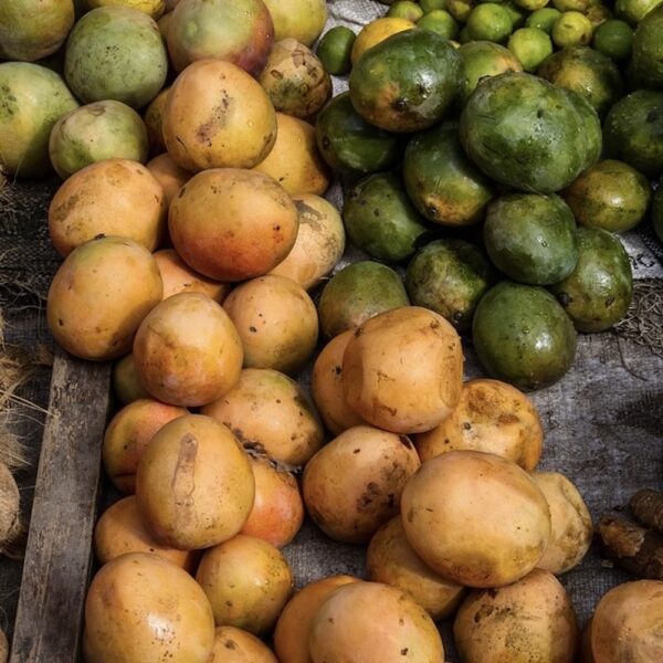 Coconut Mango