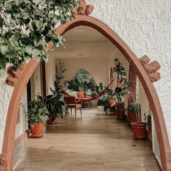 tropical retreat lounge